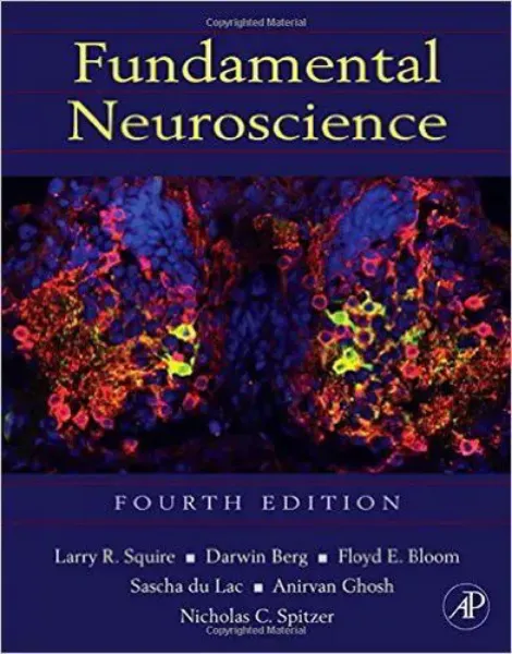 Imagem de Fundamental Neuroscience
