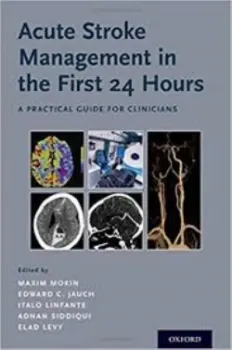 Picture of Book Acute Stroke Management in the First 24 Hours: A Practical Guide for Clinicians