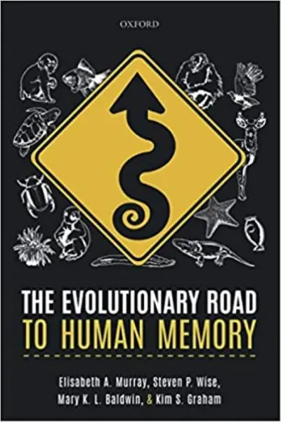 Imagem de The Evolutionary Road to Human Memory