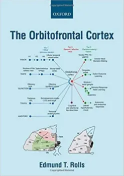 Imagem de The Orbitofrontal Cortex