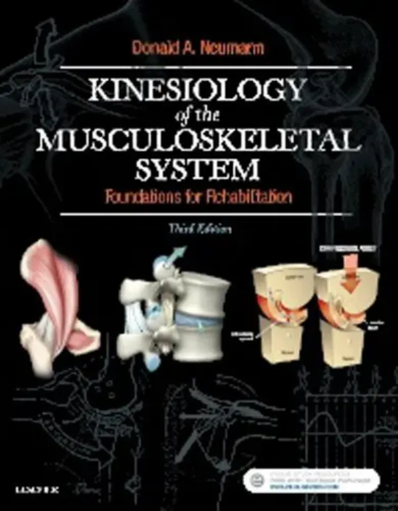 Imagem de Kinesiology of Musculoskeletal System