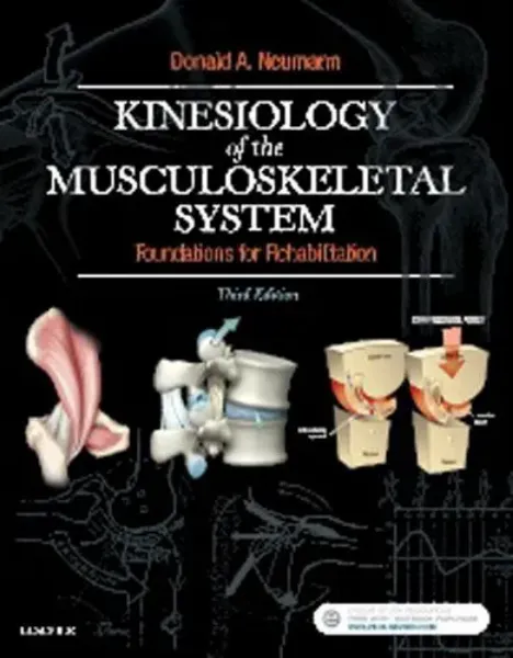 Imagem de Kinesiology of Musculoskeletal System