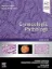 Picture of Book Gynecologic Pathology