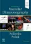 Imagem de Introduction to Vascular Ultrasonography