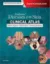 Picture of Book Andrews' Diseases of the Skin Clinical Atlas