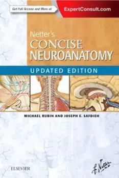 Imagem de Netter's Concise Neuroanatomy