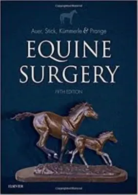 Imagem de Equine Surgery