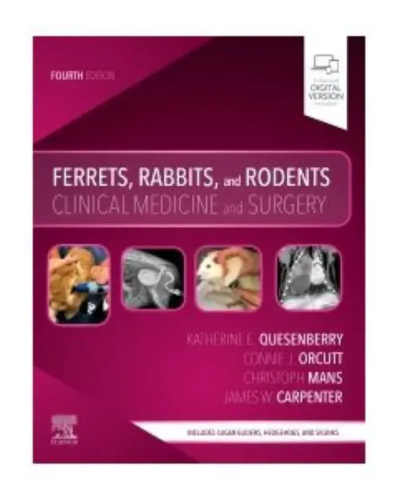 Imagem de Ferrets, Rabbits, and Rodents: Clinical Medicine and Surgery