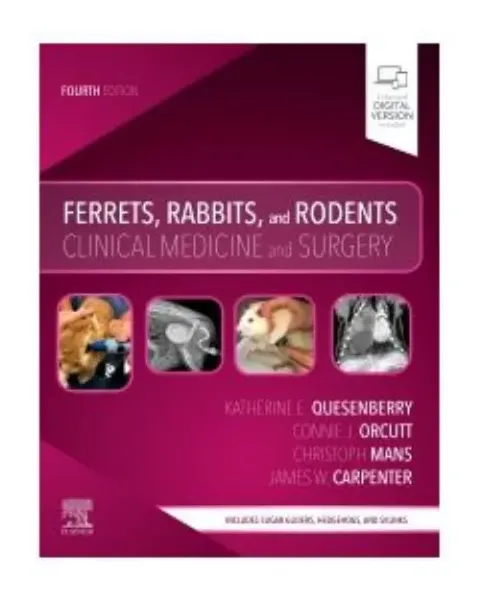 Imagem de Ferrets, Rabbits, and Rodents: Clinical Medicine and Surgery