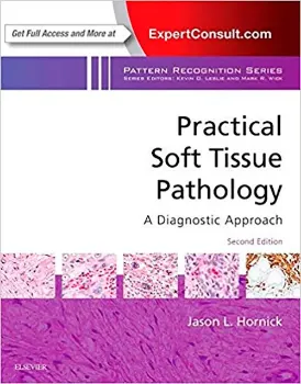 Imagem de Practical Soft Tissue Pathology: A Diagnostic Approach