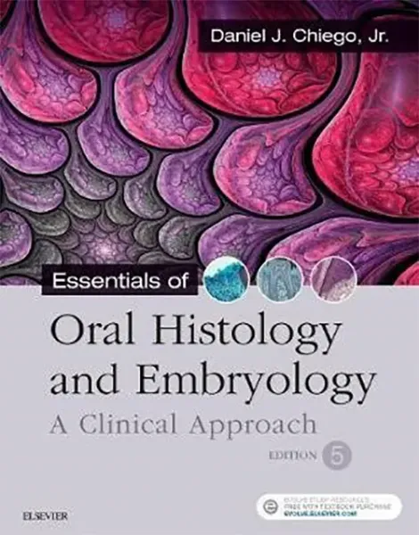 Imagem de Essentials of Oral Histology and Embryology