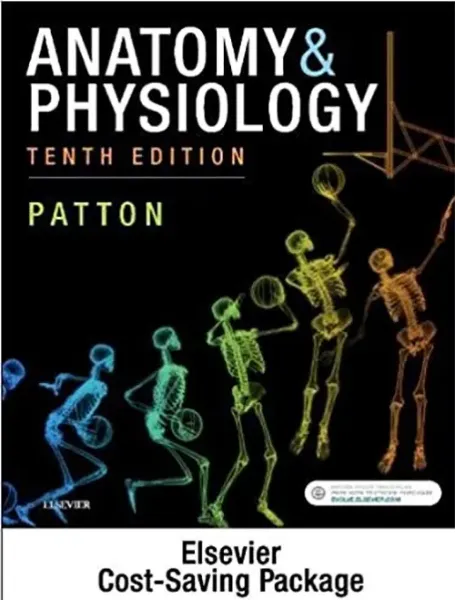 Imagem de Anatomy & Physiology - Binder-Ready (includes A&P Online course)