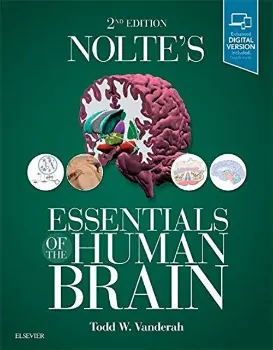 Picture of Book Nolte's Essentials of the Human Brain