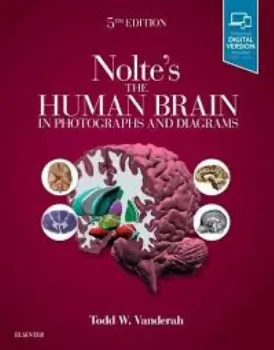 Imagem de Nolte's The Human Brain in Photographs and Diagrams