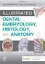 Imagem de Illustrated Dental Embryology, Histology and Anatomy