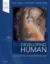 Imagem de The Developing Human: Clinically Oriented Embryology 11th edition