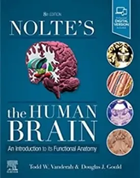 Picture of Book Nolte's the Human Brain