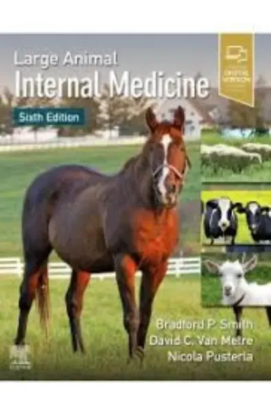 Imagem de Large Animal Internal Medicine