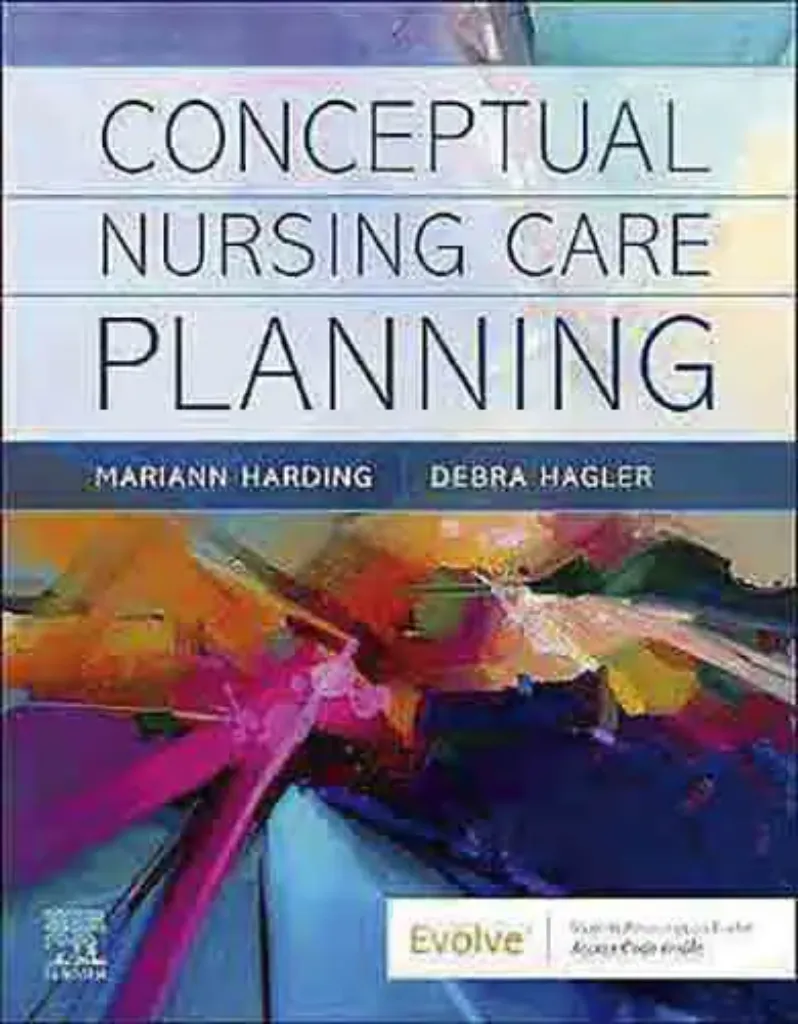 Imagem de Conceptual Nursing Care Planning