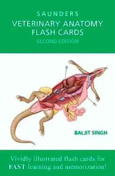 Picture of Book Veterinary Anatomy Flash Cards