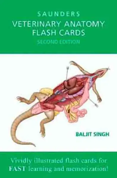 Imagem de Veterinary Anatomy Flash Cards