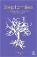 Imagem de Stepfamilies: A Global Perspective on Research, Policy, and Practice