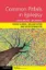 Imagem de Common Pitfalls in Epilepsy: Case-Based Learning