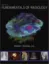 Picture of Book Squire's Fundamentals of Radiology
