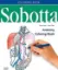 Imagem de Sobotta Anatomy Coloring Book ENGLISCH/LATEIN