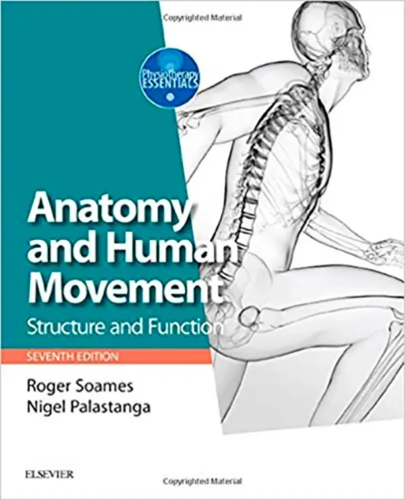 Imagem de Anatomy and Human Movement