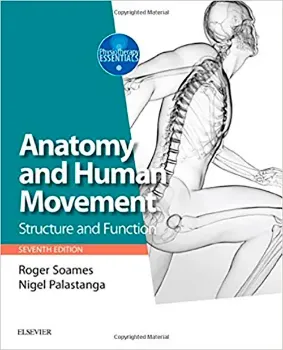 Picture of Book Anatomy and Human Movement