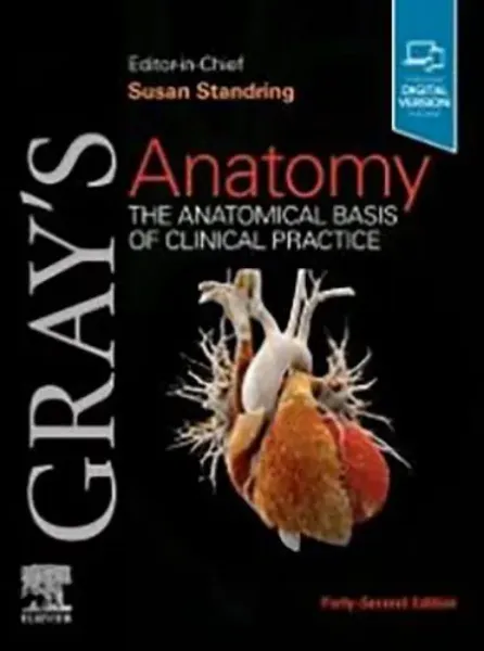 Imagem de Gray's Anatomy: The Anatomical Basis of Clinical Practice