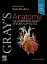 Imagem de Gray's Anatomy: The Anatomical Basis of Clinical Practice
