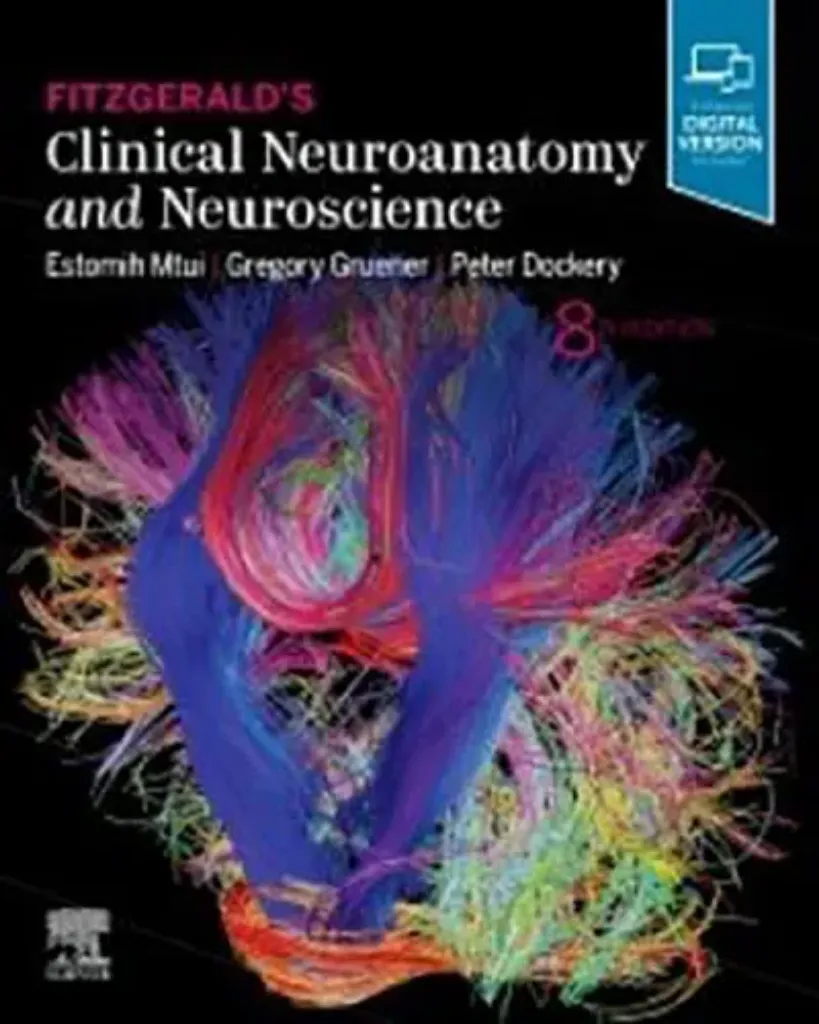Imagem de Fitzgerald's Clinical Neuroanatomy and Neuroscience