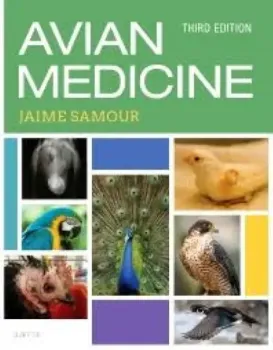 Imagem de Avian Medicine