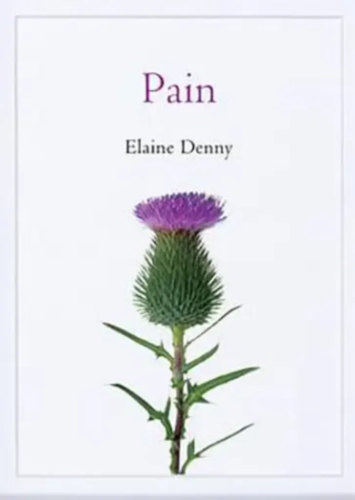 Imagem de Pain: A Sociological Introduction