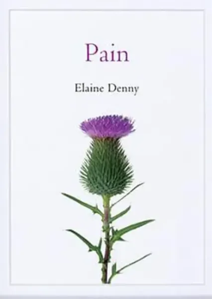 Imagem de Pain: A Sociological Introduction