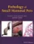 Imagem de Pathology of Small Mammal Pets