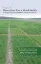 Imagem de Analysis of Generalized Linear Mixed Models in the Agricultural and Natural Resources Sciences