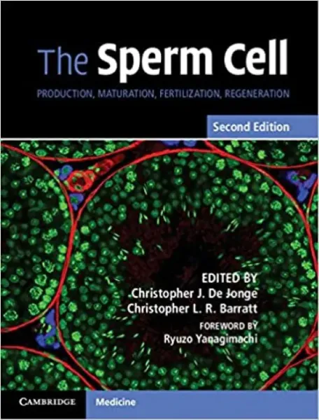Imagem de The Sperm Cell: Production, Maturation, Fertilization, Regeneration
