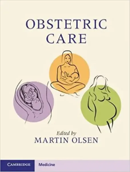 Imagem de Obstetric Care