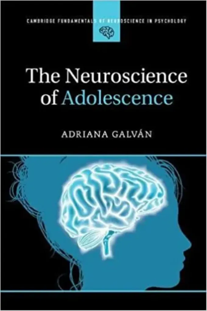 Imagem de The Neuroscience of Adolescence