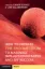 Imagem de How to Prepare the Endometrium to Maximize Implantation Rates and IVF Success