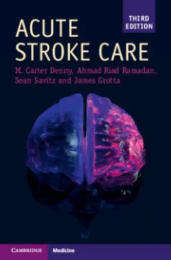 Imagem de Acute Stroke Care