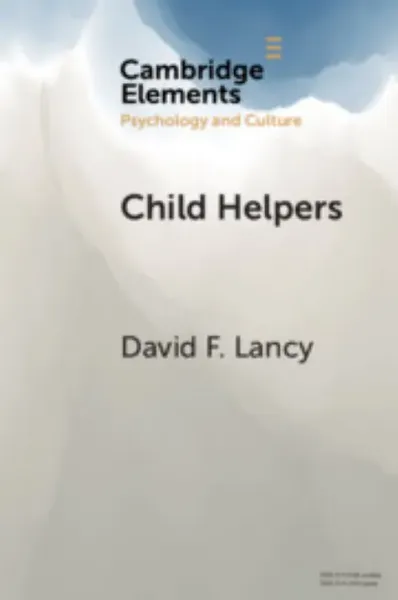 Imagem de Child Helpers: A Multidisciplinary Perspective