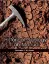 Imagem de Historical Geology Laboratory Manual