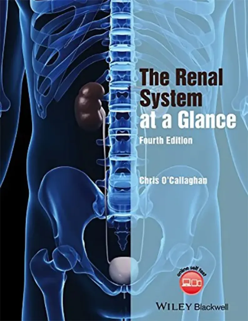 Imagem de The Renal System at a Glance