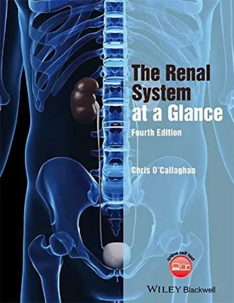 Imagem de The Renal System at a Glance
