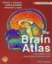 Imagem de The Brain Atlas: A Visual Guide to the Human Central Nervous System