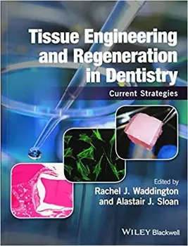 Imagem de Tissue Engineering and Regeneration in Dentistry: Current Strategies